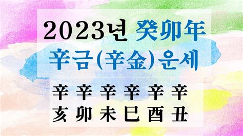 辛金2023